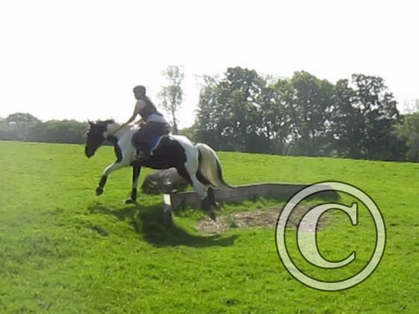 Day at Hurstwood (23)