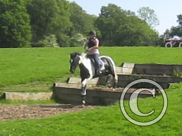 Day at Hurstwood (24)