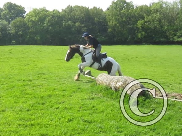 Day at Hurstwood (25)