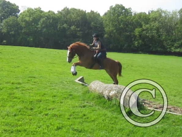 Day at Hurstwood (26)