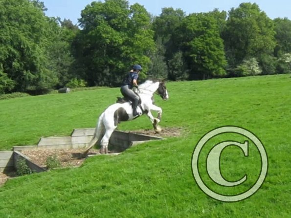 Day at Hurstwood (27)