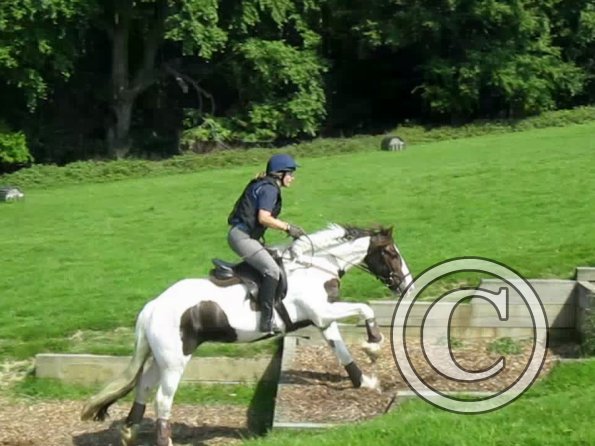 Day at Hurstwood (28)