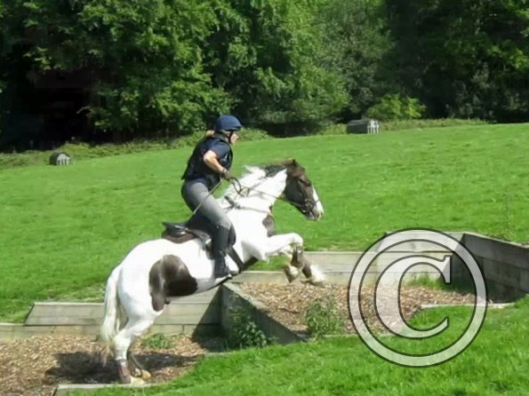 Day at Hurstwood (29)