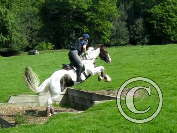 Day at Hurstwood (30)