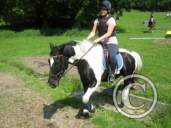 Day at Hurstwood (31)