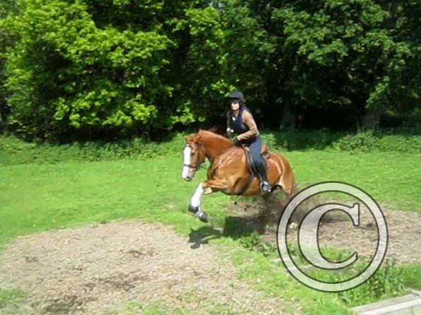 Day at Hurstwood (32)