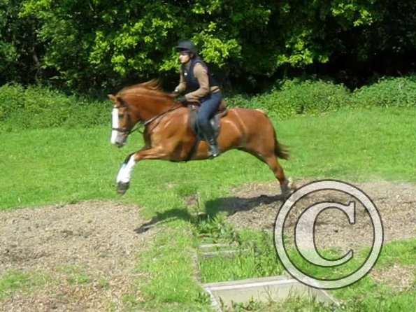 Day at Hurstwood (33)