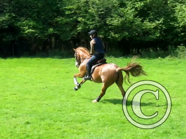 Day at Hurstwood (34)