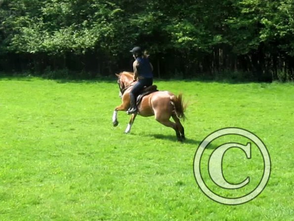 Day at Hurstwood (35)