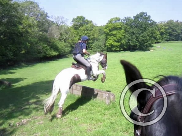 Day at Hurstwood (36)