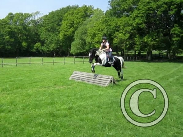 Day at Hurstwood (37)