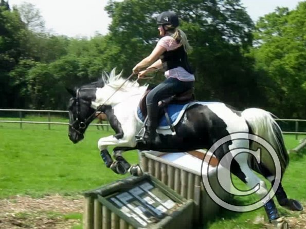 Day at Hurstwood (38)