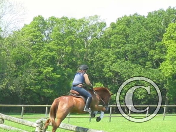 Day at Hurstwood (39)