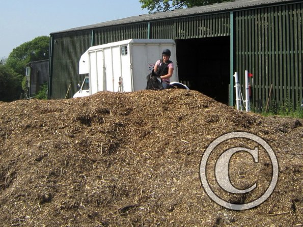 Day at Hurstwood (4)