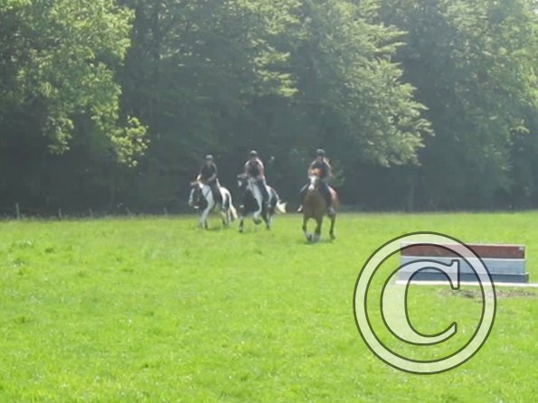 Day at Hurstwood (40)