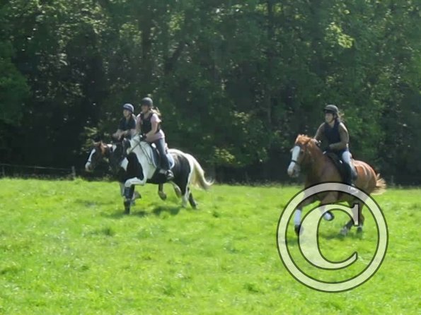 Day at Hurstwood (41)