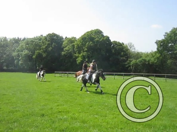 Day at Hurstwood (42)