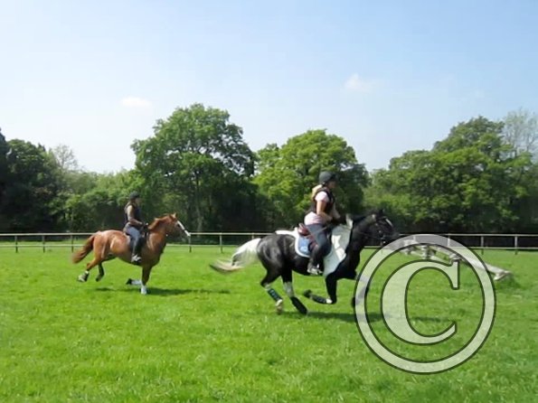 Day at Hurstwood (43)