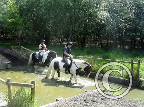 Day at Hurstwood (44)