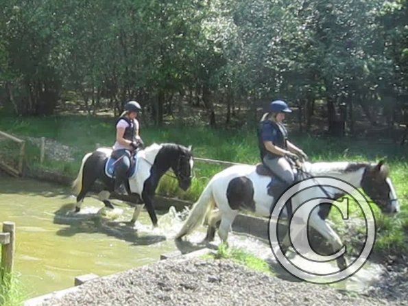 Day at Hurstwood (45)