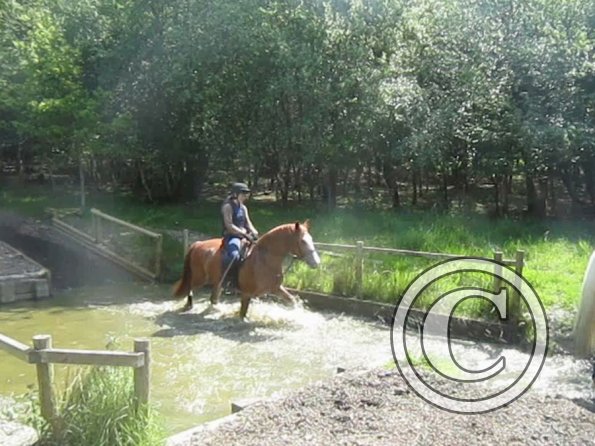 Day at Hurstwood (46)