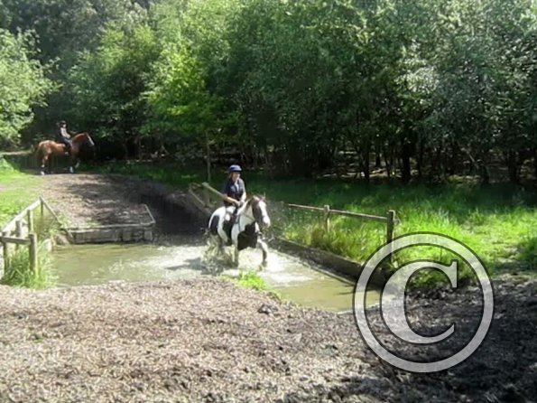 Day at Hurstwood (48)