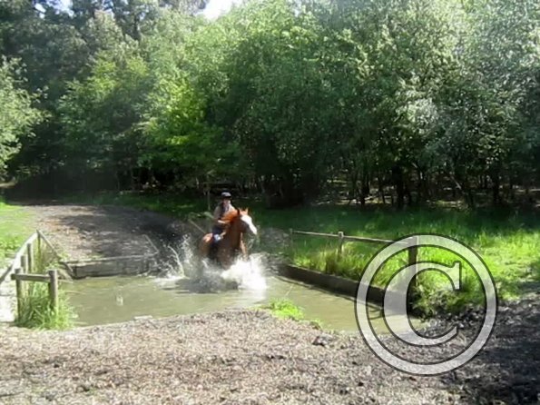 Day at Hurstwood (49)