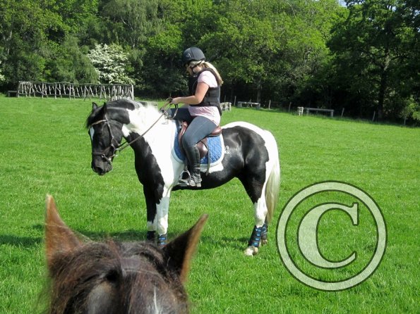 Day at Hurstwood (5)