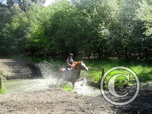 Day at Hurstwood (50)