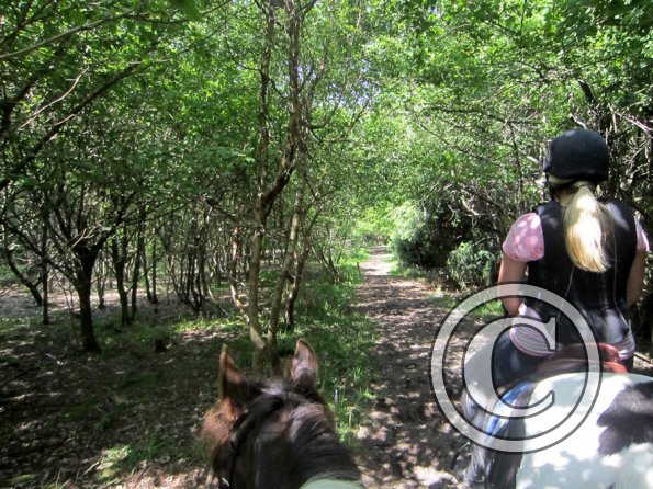 Day at Hurstwood (9)