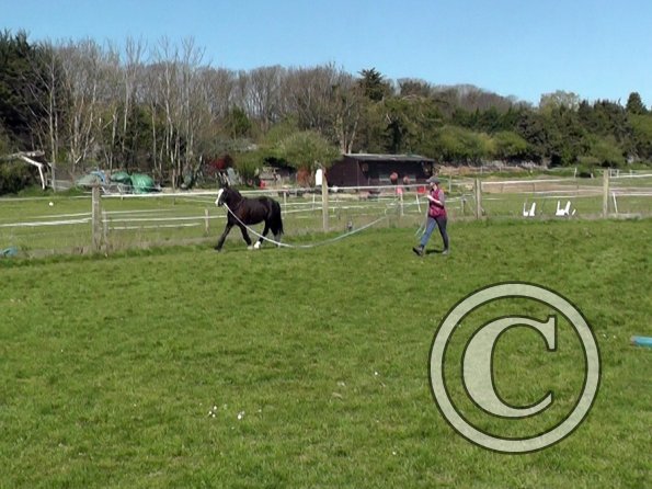 Ghost pessoa lunge (10)