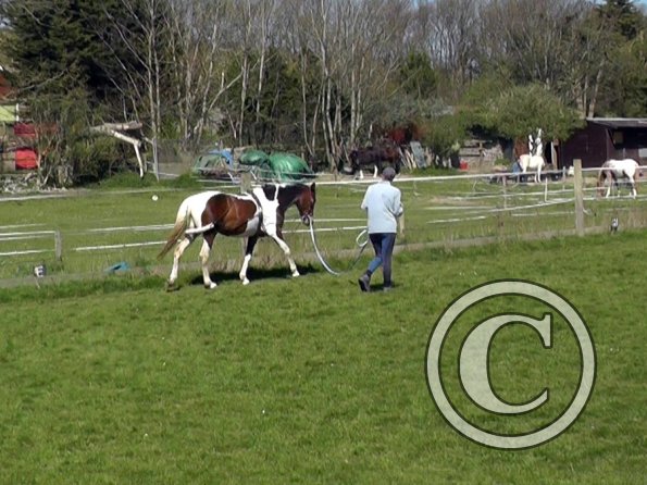 Ghost pessoa lunge (2)