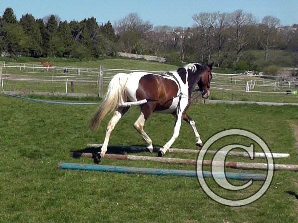 Ghost pessoa lunge (3)