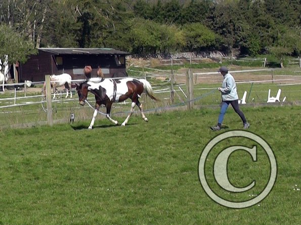 Ghost pessoa lunge (4)