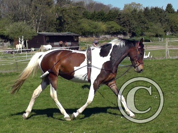 Ghost pessoa lunge (5)