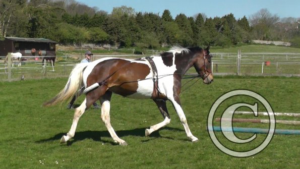 Ghost pessoa lunge (6)