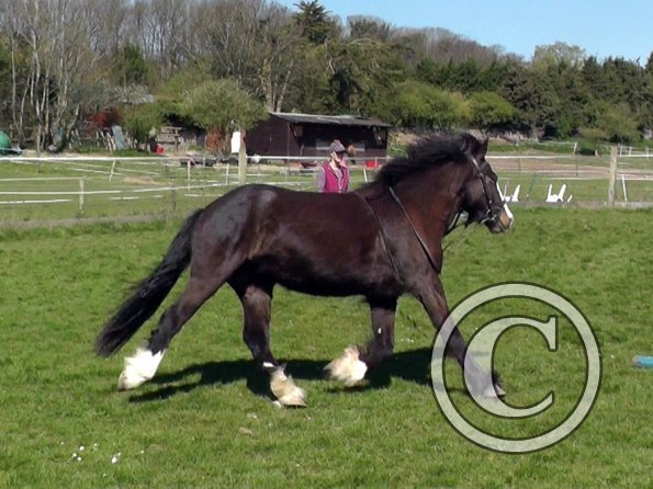 Ghost pessoa lunge (8)