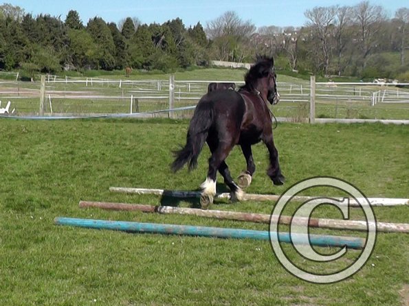 Ghost pessoa lunge (9)