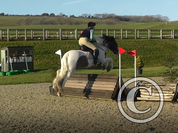 Anna and Lance 80cm pallisade