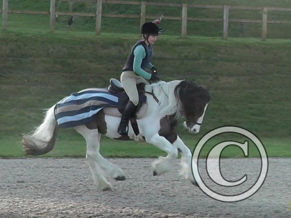 Anna and Lance canter (1)