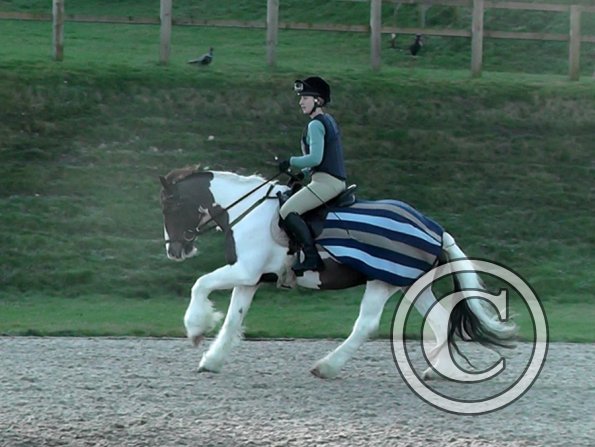 Anna and Lance canter (2)