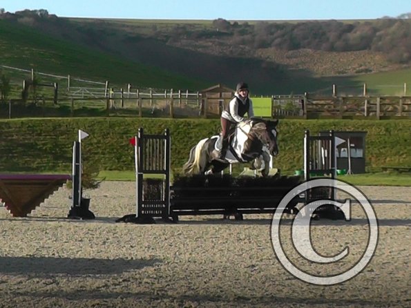 Jade and JD brush fence