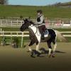 Jade and JD canter (1)