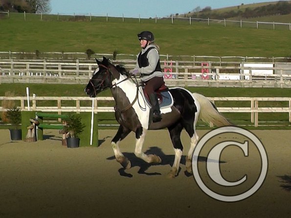 Jade and JD canter (1)