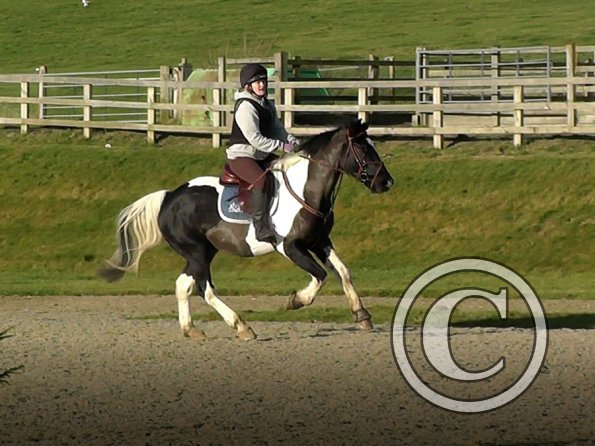 Jade and JD canter (2)