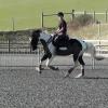 Anna flatwork (2)