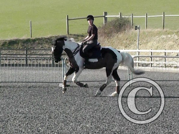 Anna flatwork (2)