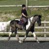Anna flatwork (3)