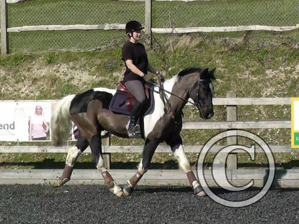 Anna flatwork (3)