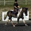 Anna flatwork